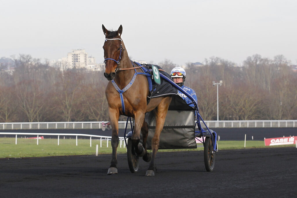 Andelshästen Say that Again startar på Vincennes på torsdag