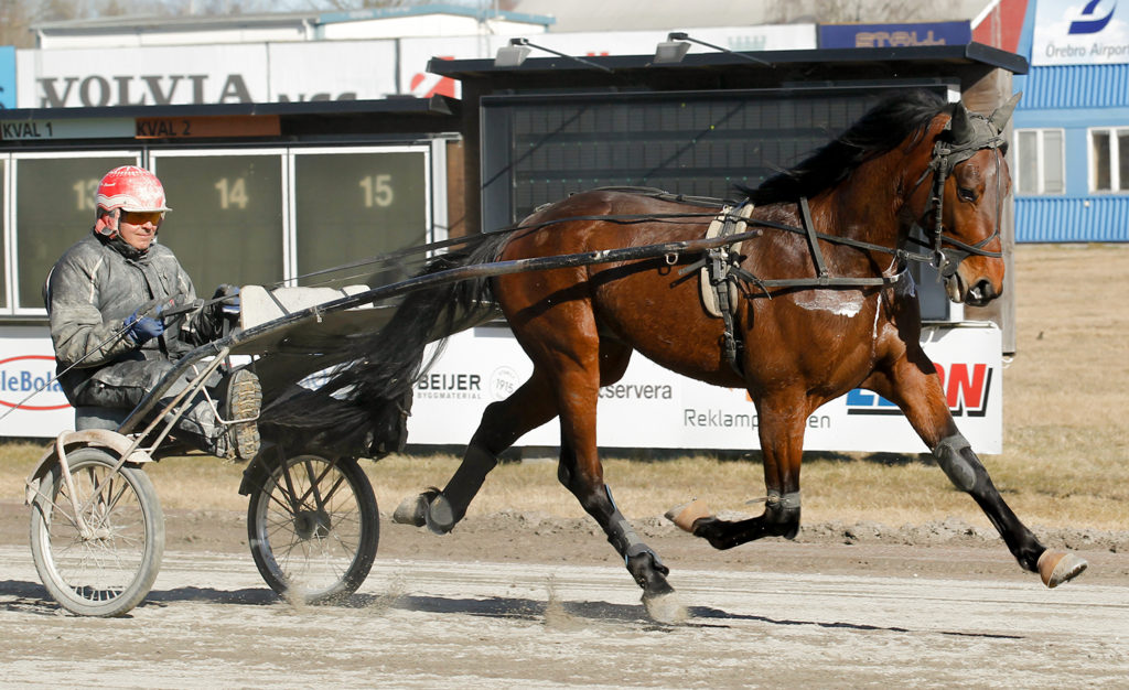 Andelshästen Inspector gör debut för Wäjersten på torsdag