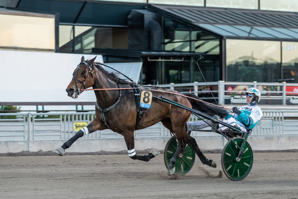 Andelshästen Cactus startar i finalen av Diamantstoet på fredag