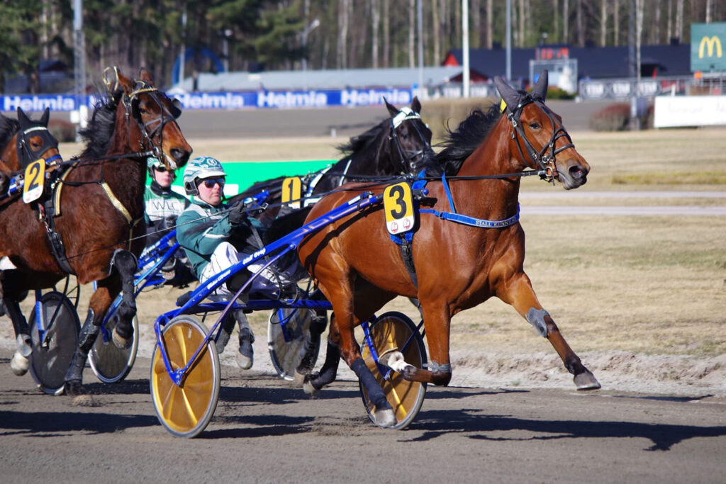 Andelshästen Etoile startar på Solvalla på onsdag