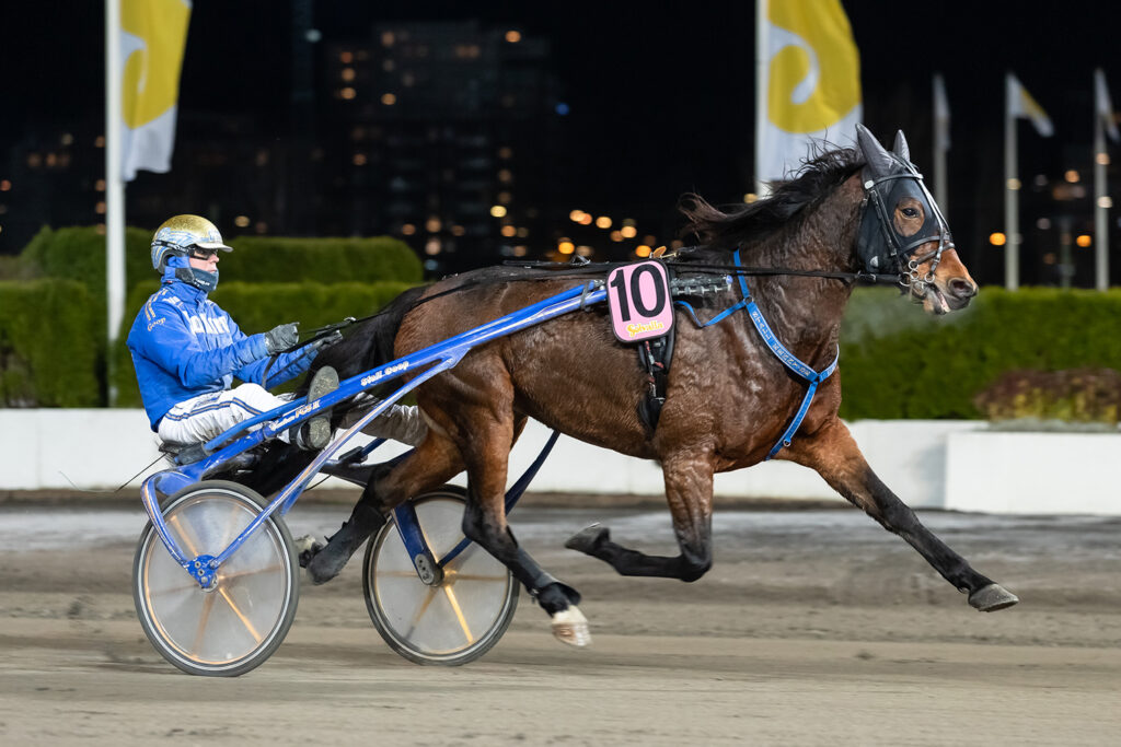 Andelshästen Thorondor startar på Solvalla på söndag