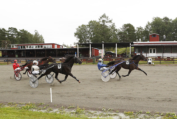 Andelshästen Equal to None jagar andra raka på Solvalla på lördag