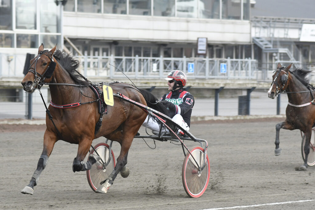 Andelshästen Primadonna Tile startar på Halmstads lunchtrav på måndag