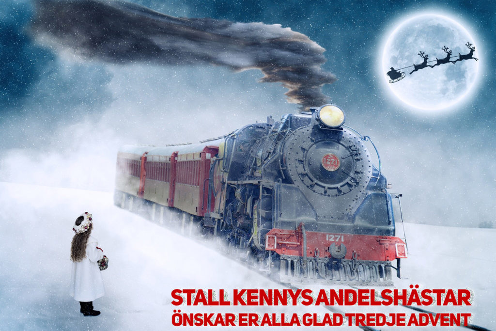 Glad tredje advent önskar Stall Kennys Andelshästar
