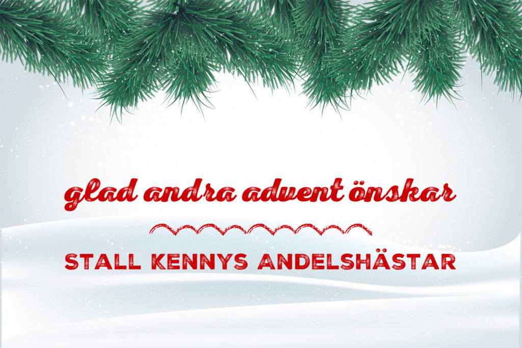 Glad andra advent önskar Stall Kennys Andelshästar