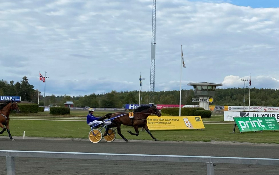 Andelshästen Gliding Eagle glider upp till Solvalla för tävlingsdebut