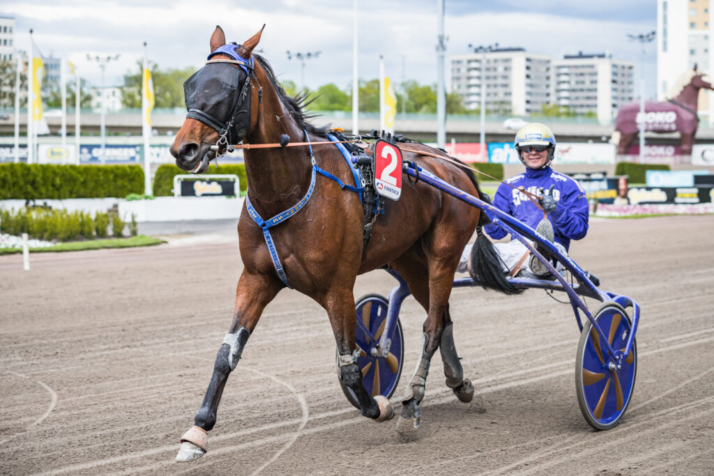 Andelshästen Generator startar på Solvallas lunchtrav