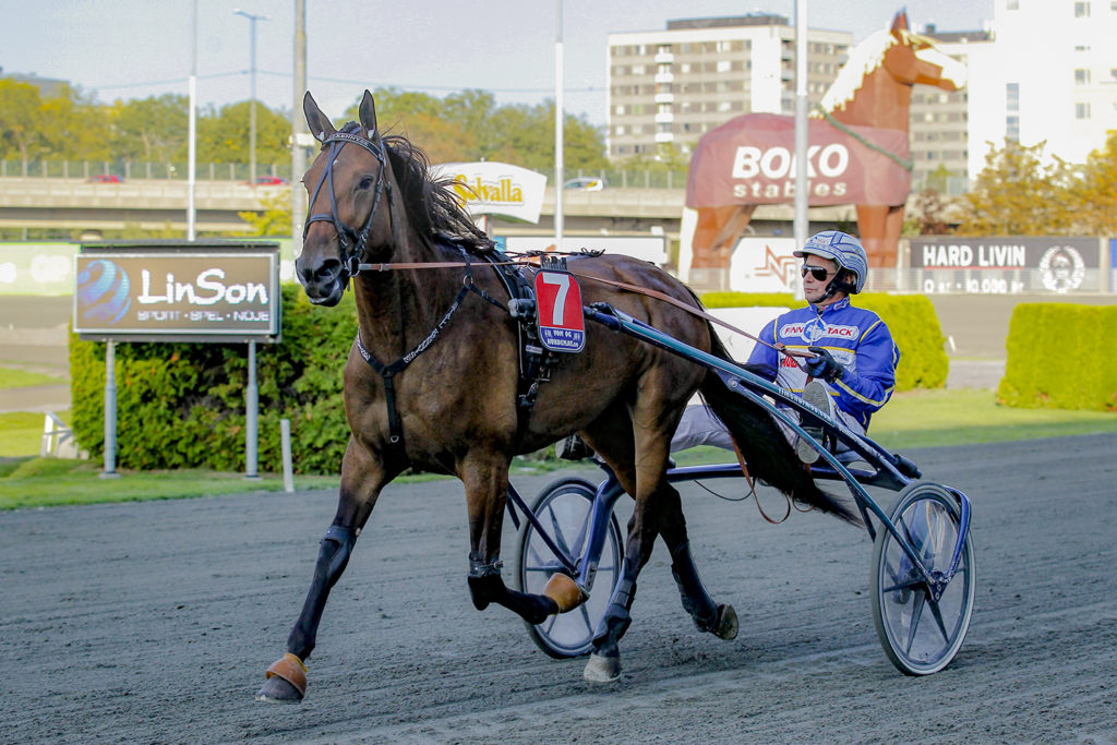 Andelshästen Cactus gör årsdebut och startar på Solvalla på onsdag