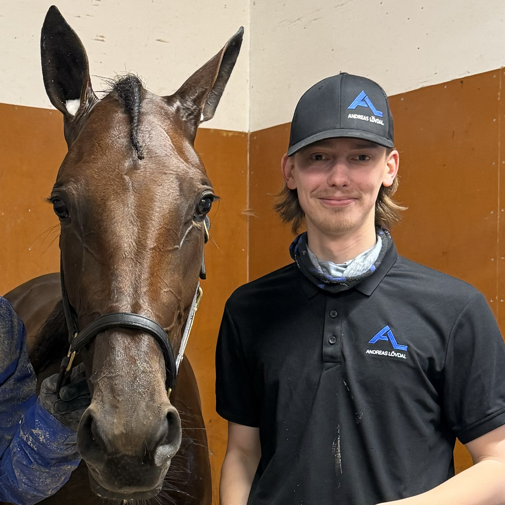 horse.staff.skotare