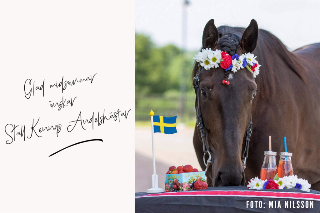 Glad Midsommar önskar Stall Kennys Andelshästar
