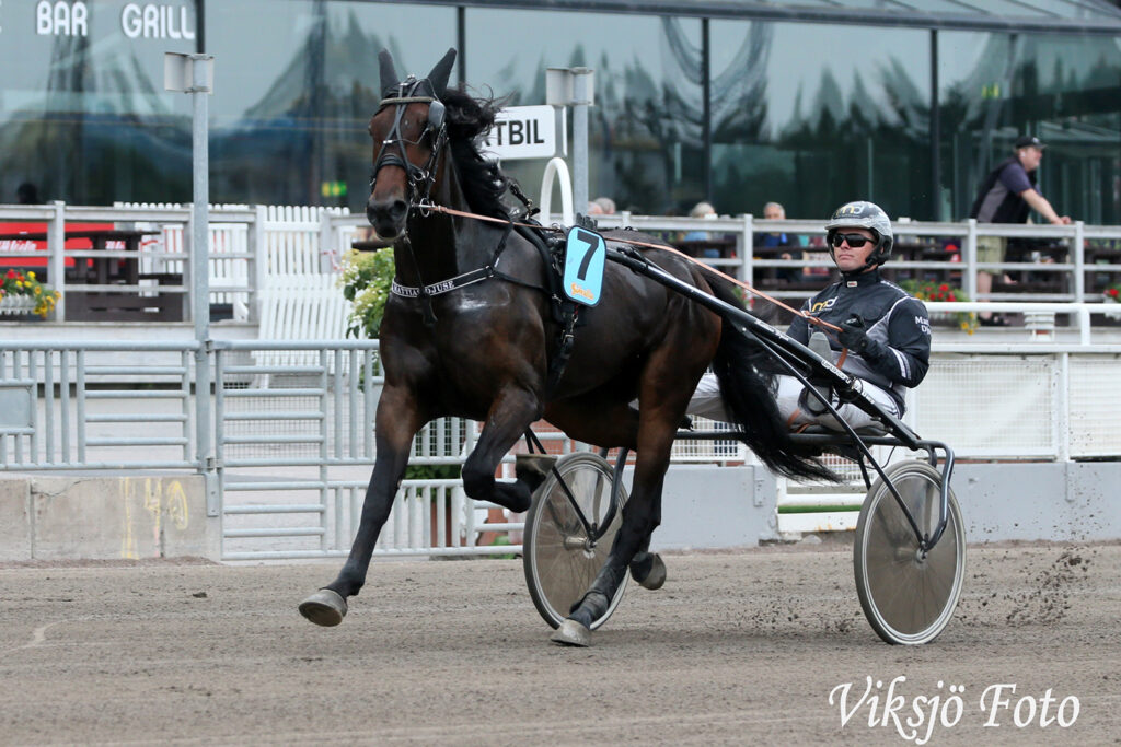 Andelshästen Wings Level startar på V75 i Örebro