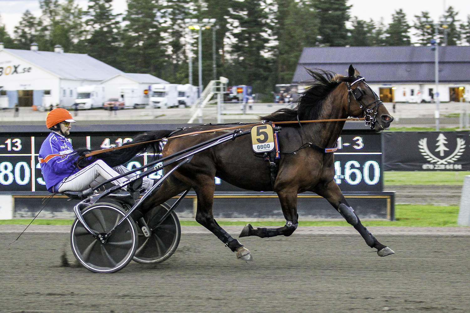 Andelshästen Jakiro Mearas startar på Örebro på fredag