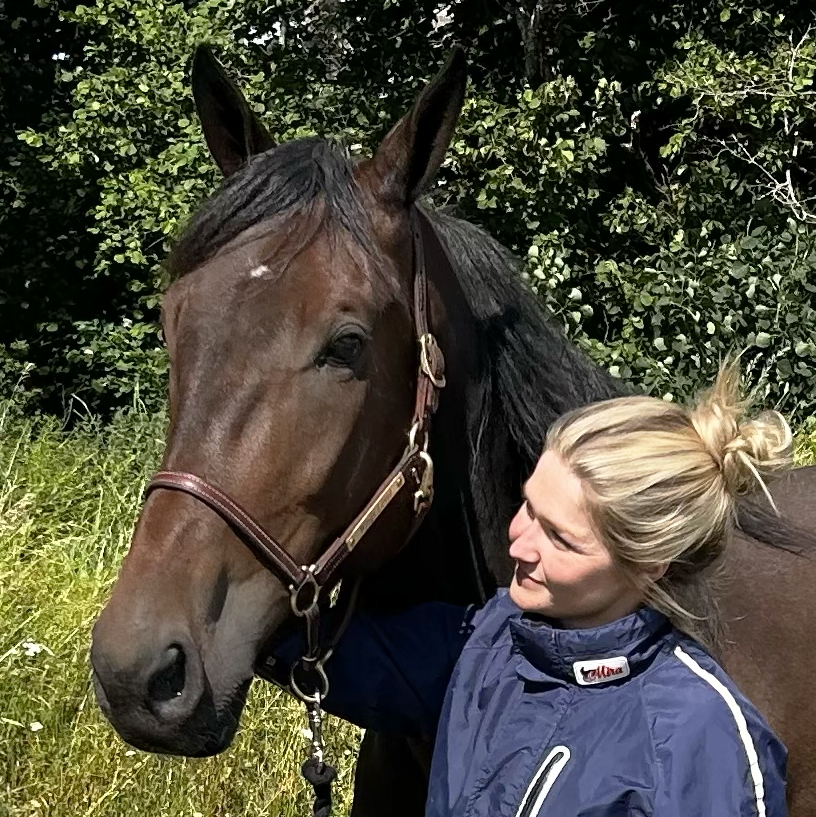 horse.staff.tranare
