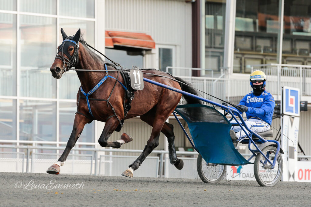 Andelshästen He’s Marvelous i styrkeprov på Jägersro på söndag