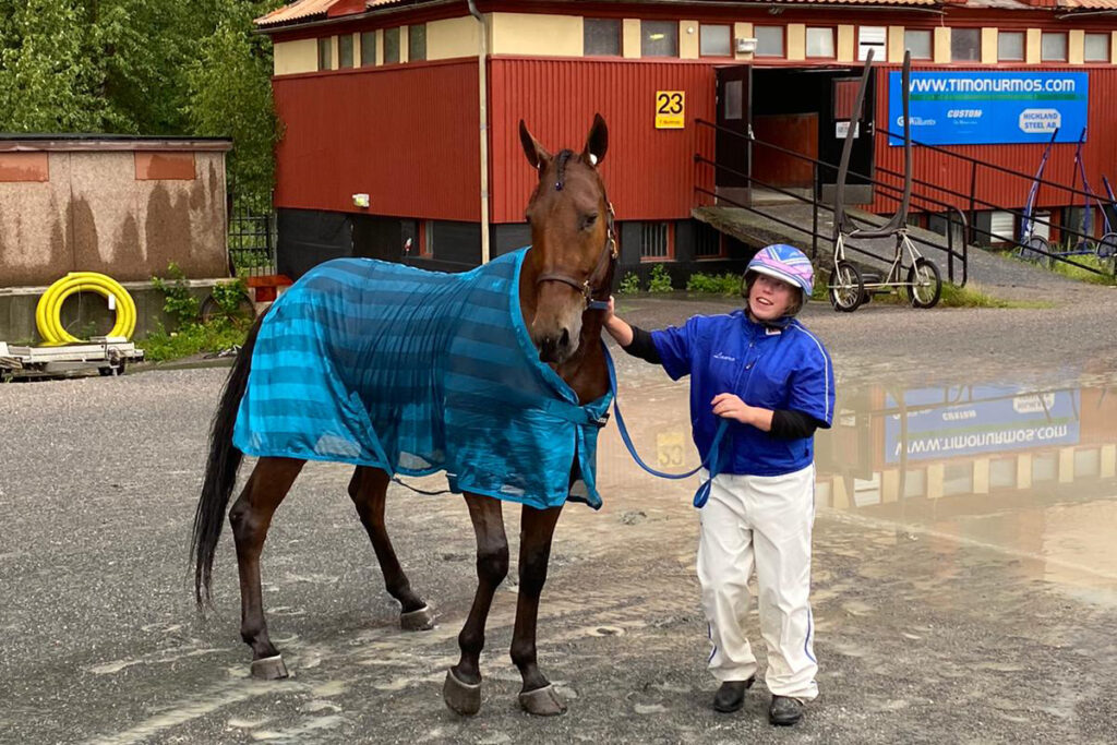 Andelshästen Express Love startar på Solvallas lunchtrav på tisdag