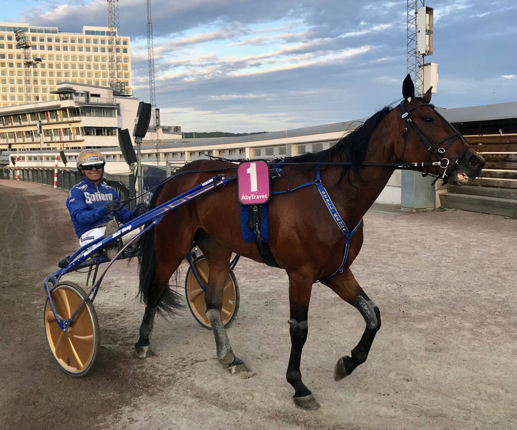 Andelshästen Inspector startar från tillägg på Solvalla på lördag
