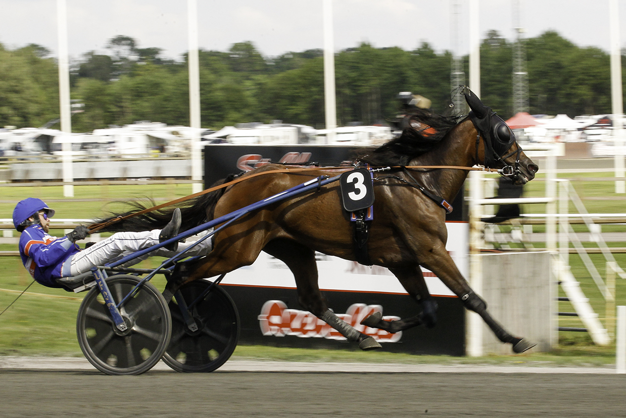 AURELIA EXPRESS