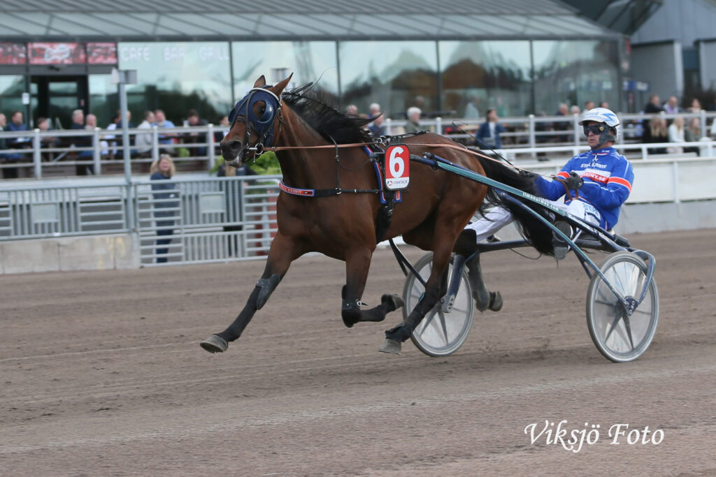 Andelshästen Aurelia Express startar i Breeders Crown-försök