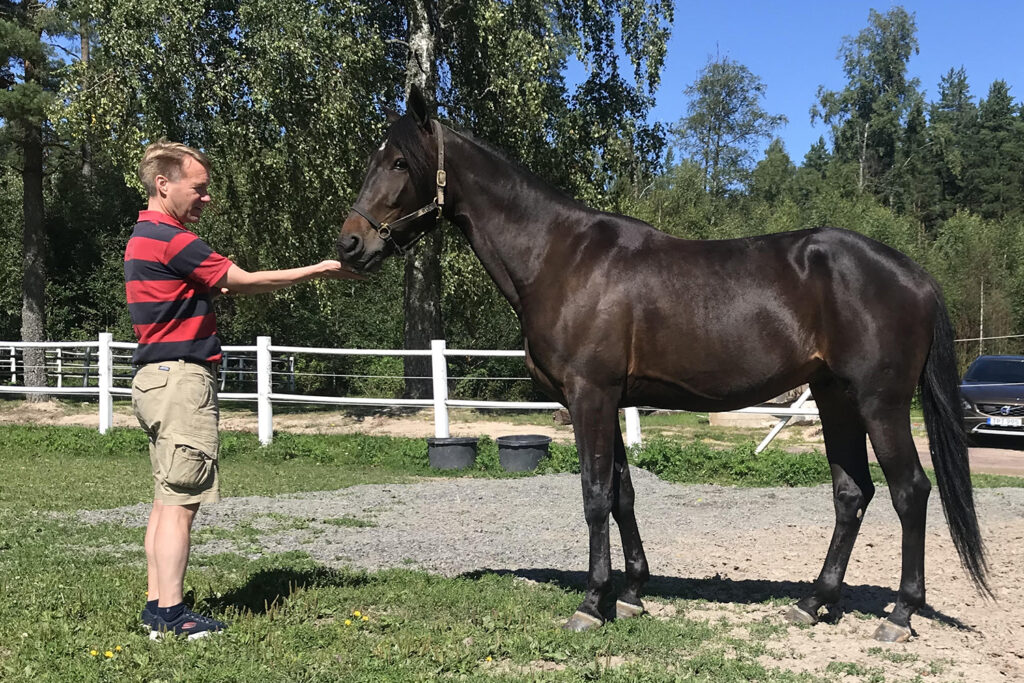 Andelshästen Equal to None startar på Jägersro på lördag