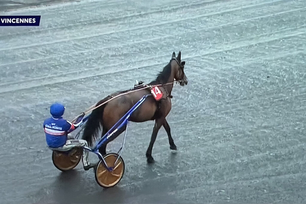 Andelshästen Say that Again startar i Grand Prix Comte Louis et René de Vibraye