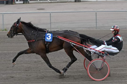 Andelshästen Garden Leave startar på Örebrotravet på lördag kväll