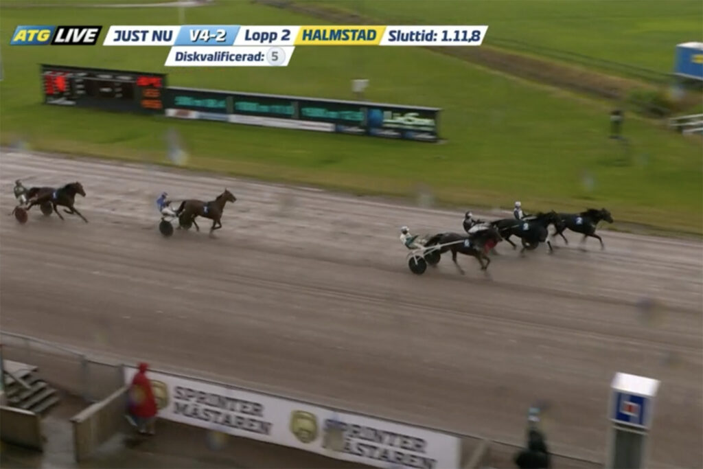 Andelshästen Guzz Mearas heroisk tvåa från dödens efter Aetos Kronos