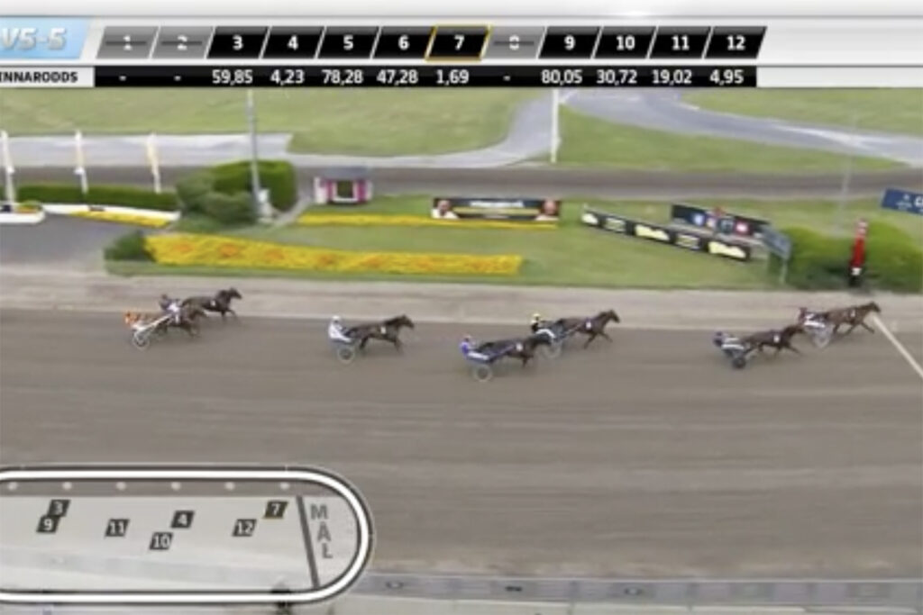 Andelshästen Express Love duktig trea från dödens på Solvalla