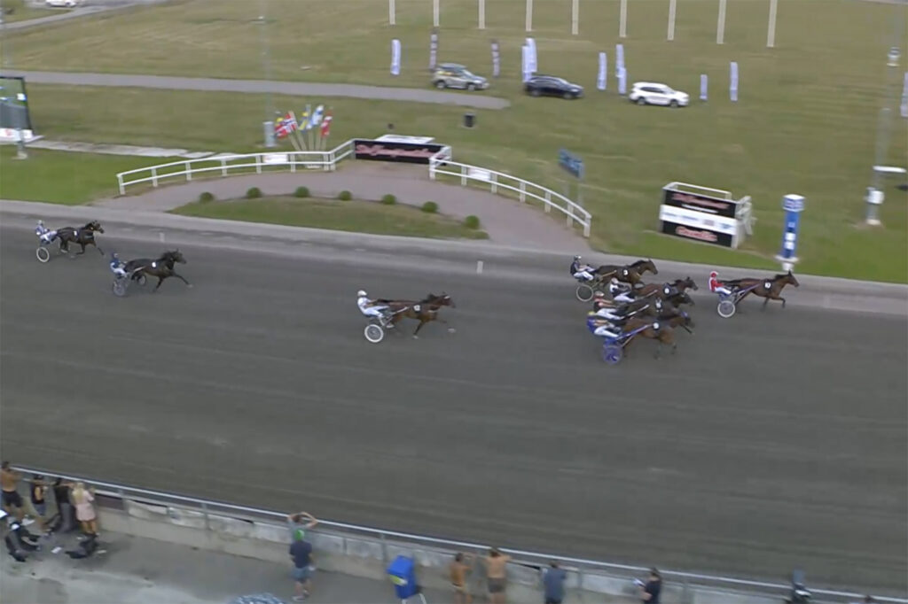 Andelshästen Generator spurtade sylvasst på V75 till en andraplats