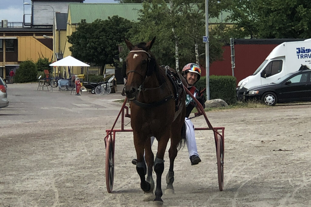 Andelshästen Grandfather Bill gör årsdebut på V86 på onsdag