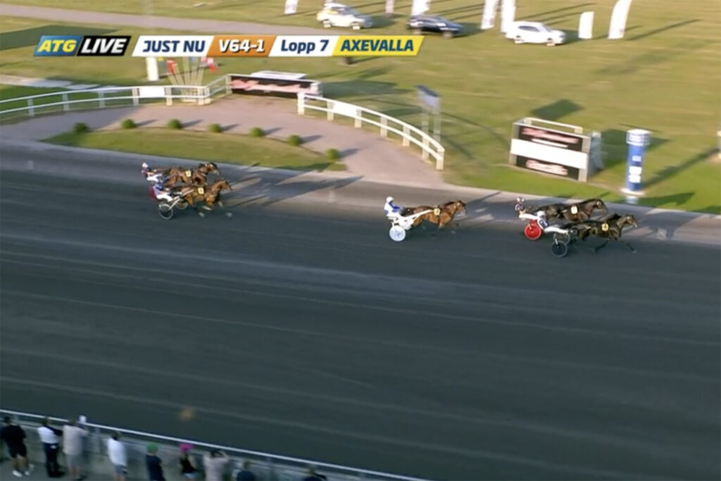 Andelshästen Guzz Mearas tvåa igen efter Aetos Kronos