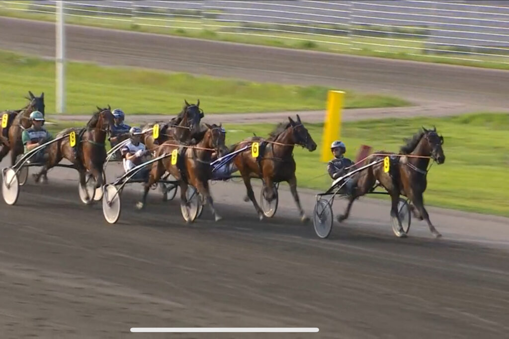 Andelshästen Wings Level imponerade i sin tävlingsdebut