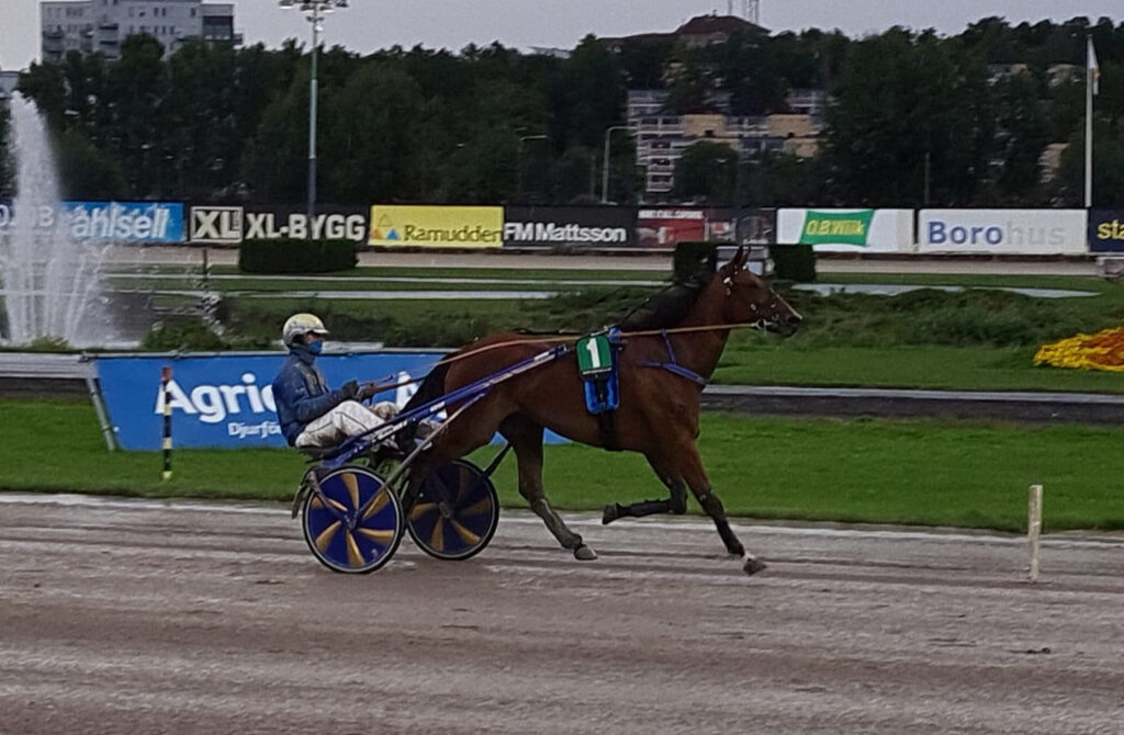 Andelshästen Etoile tvåa med full fart över mållinjen på Solvalla