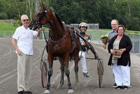 Andelshästen Primadonna Tile startar på Solvalla på onsdag