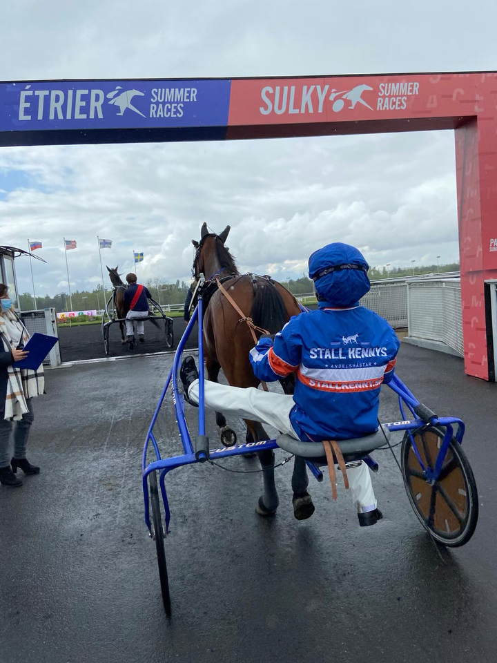 Andelshästen Say that Again startar i Grand Prix de la Ville de Laval