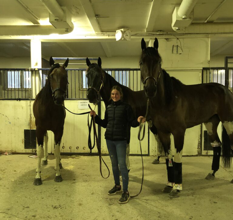 Trippel på Solvalla för Djuse – Bli delägare i en toppstammad hingst