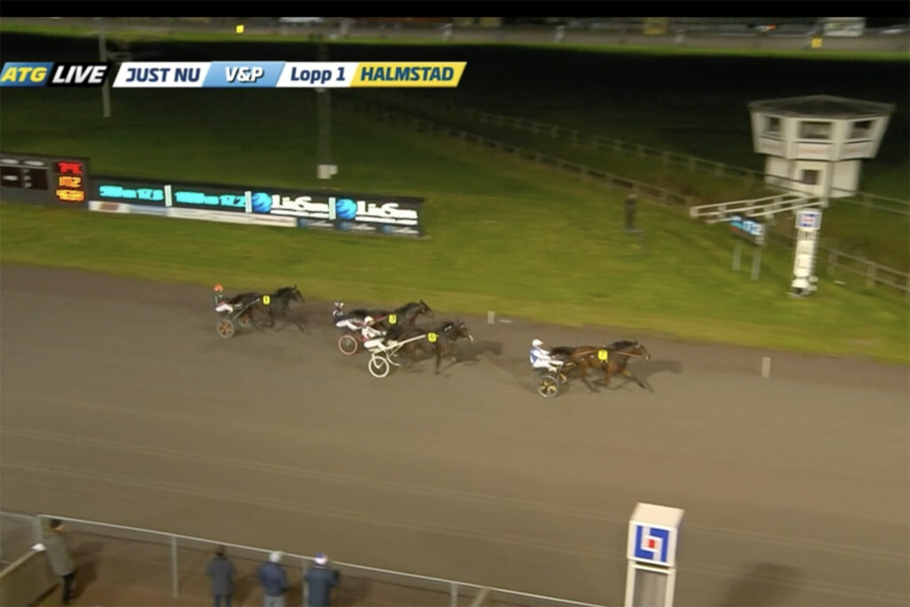 Tvååriga andelshästen Jakiro Mearas trea i sin tävlingsdebut