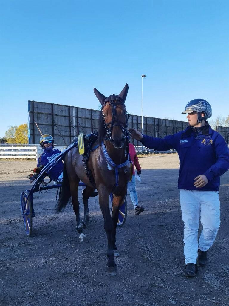 Andelshästen Thorondor segrade i lopp 1 på Örebro idag