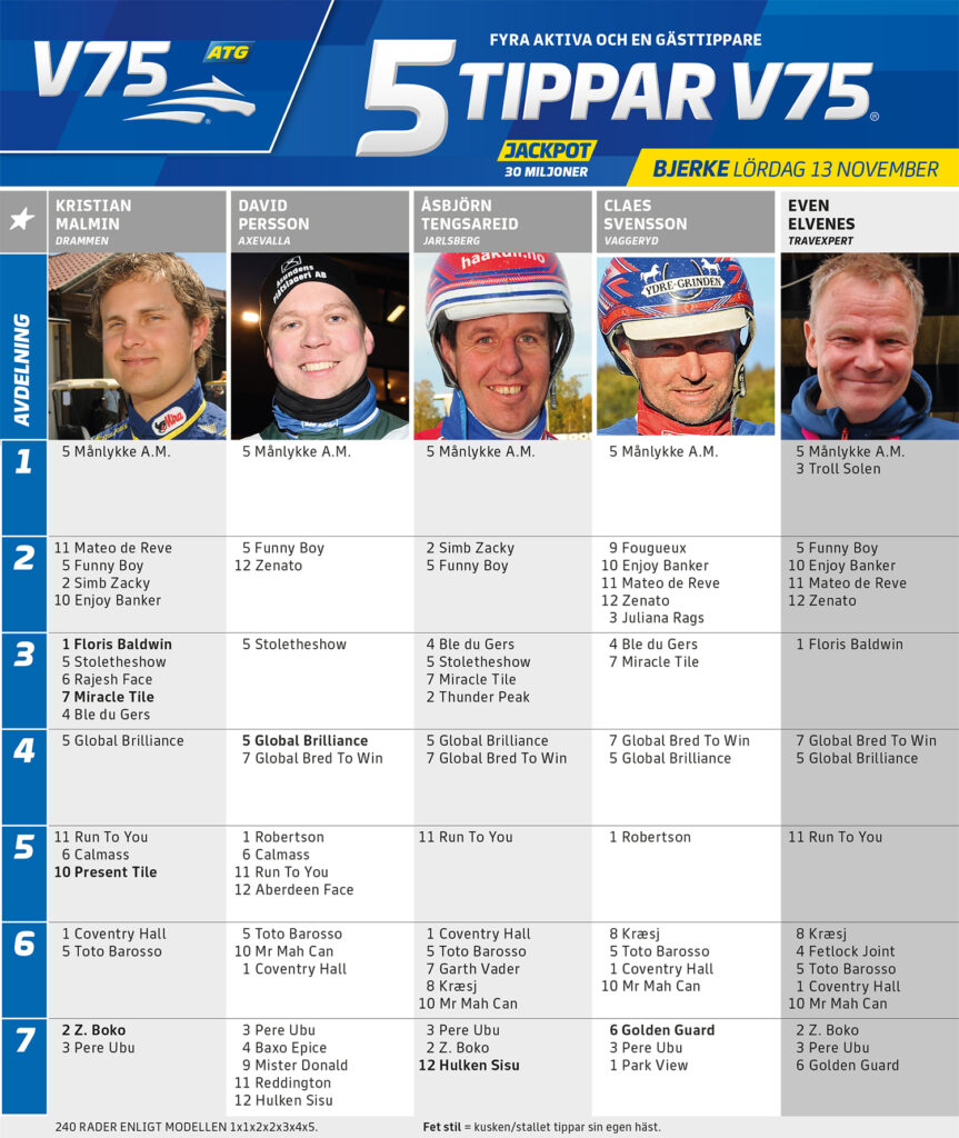 Fem Tippar V75 Bjerke lördag 13 november