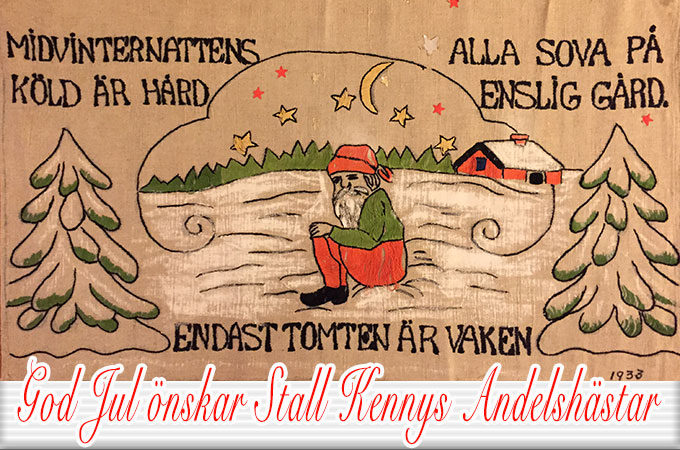 En riktigt God Jul önskar Stall Kennys Andelshästar
