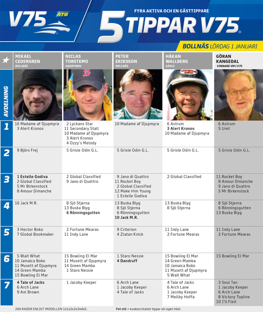 Fem Tippar V75 Bollnäs lördag 1 januari