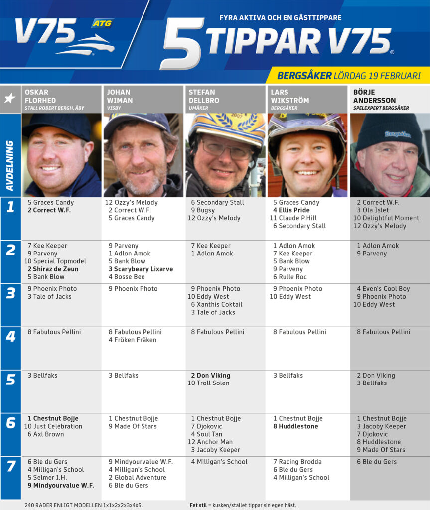 Fem Tippar V75 Bergsåker lördag 19 februari