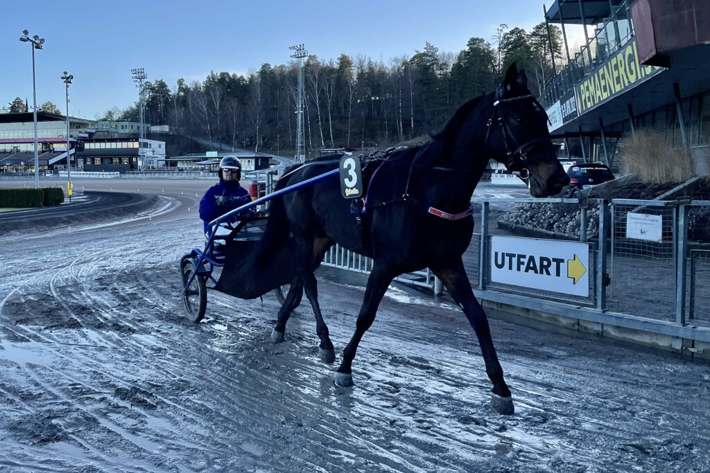 Andelshästen Equal to None startar på V75 på Åby