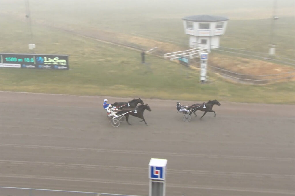 Andelshästen Jakiro Mearas trea i mål i årsdebuten på Halmstad