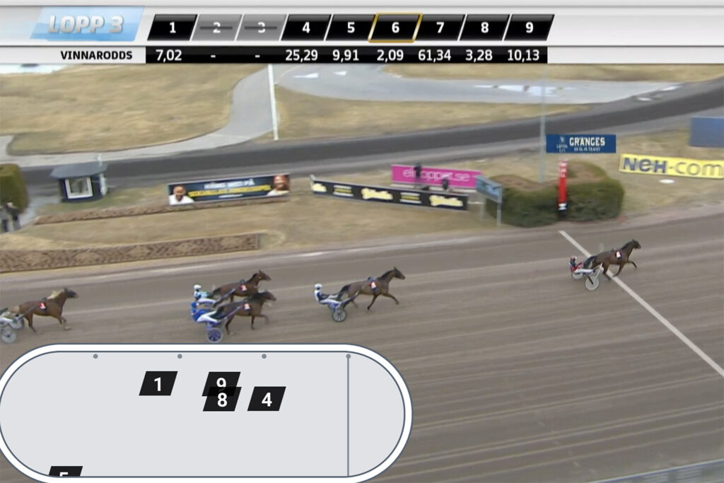 Andelshästen Thorondor trea i mål i dagens lopp på Solvalla