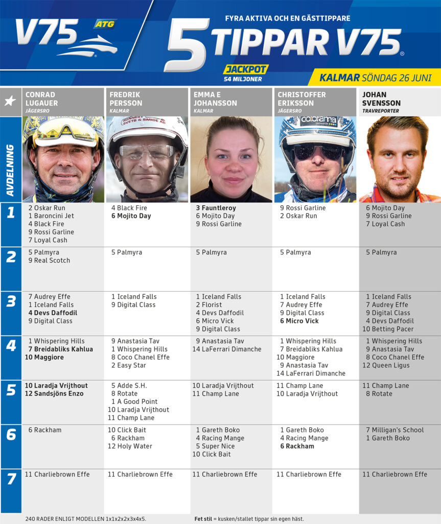 Fem Tippar V75 Kalmar söndag 26 juni
