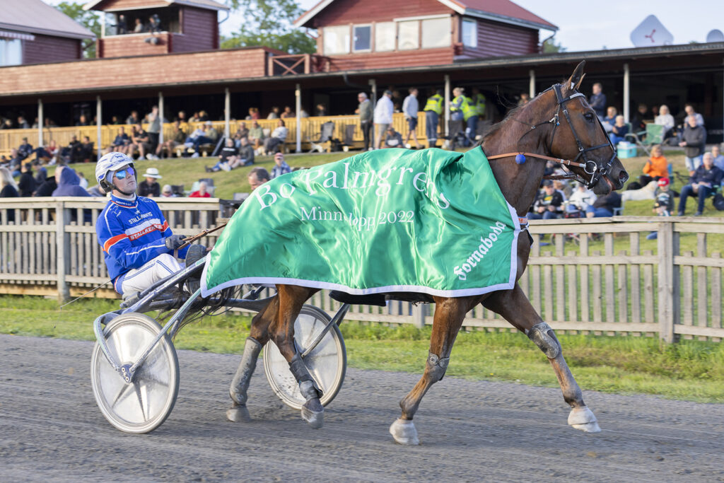 Gårdagens V86-vinnare Express Love startar på onsdag på Solvalla