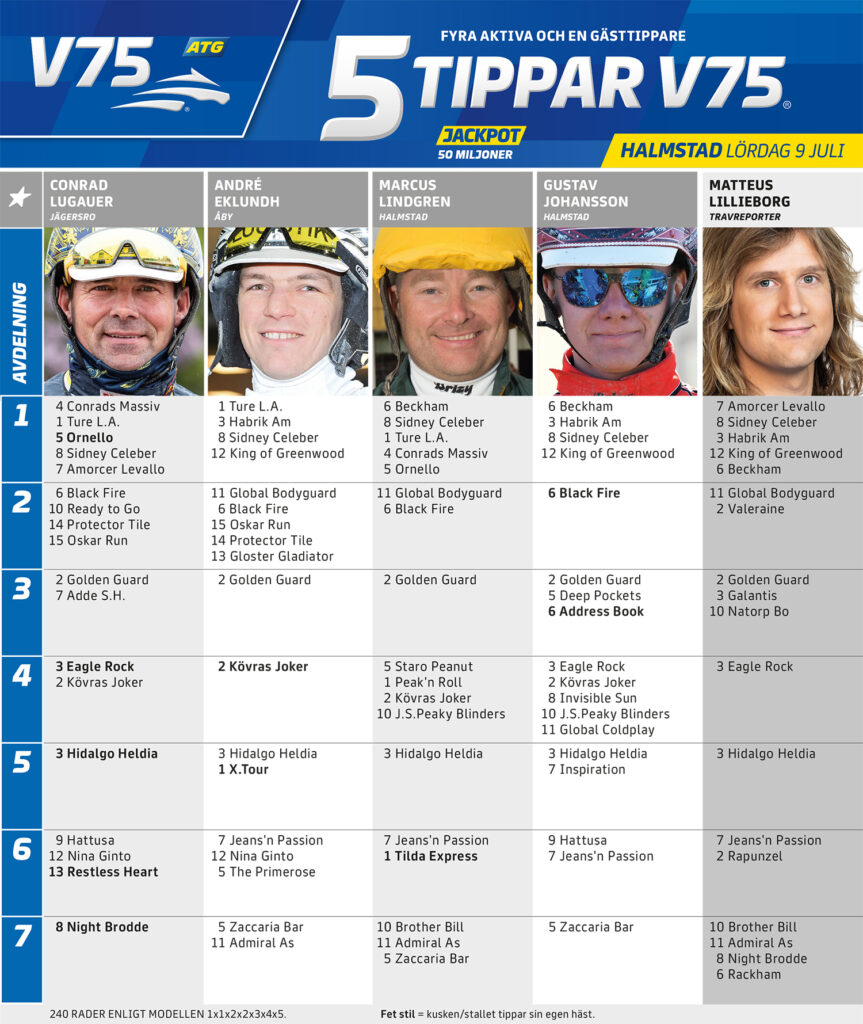 Fem Tippar V75 Halmstad lördag 9 juli