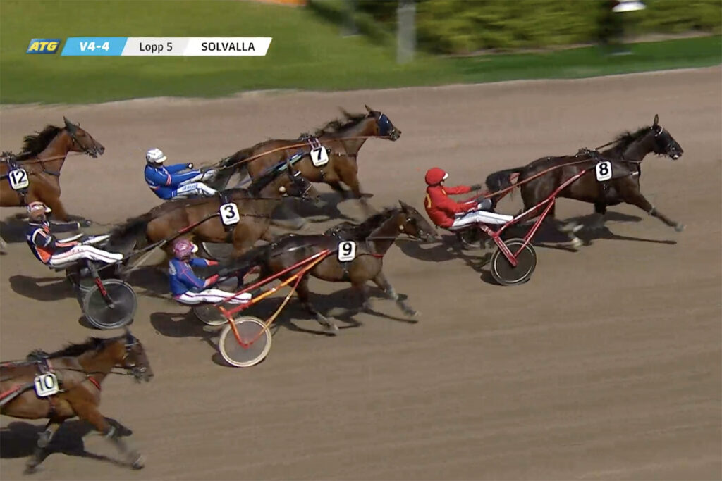 Andelshästen Aurelia Express mycket fin tvåa på Solvalla