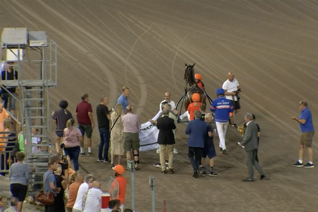 Andelshästen Express Love segrade enkelt på V75 på Solvalla