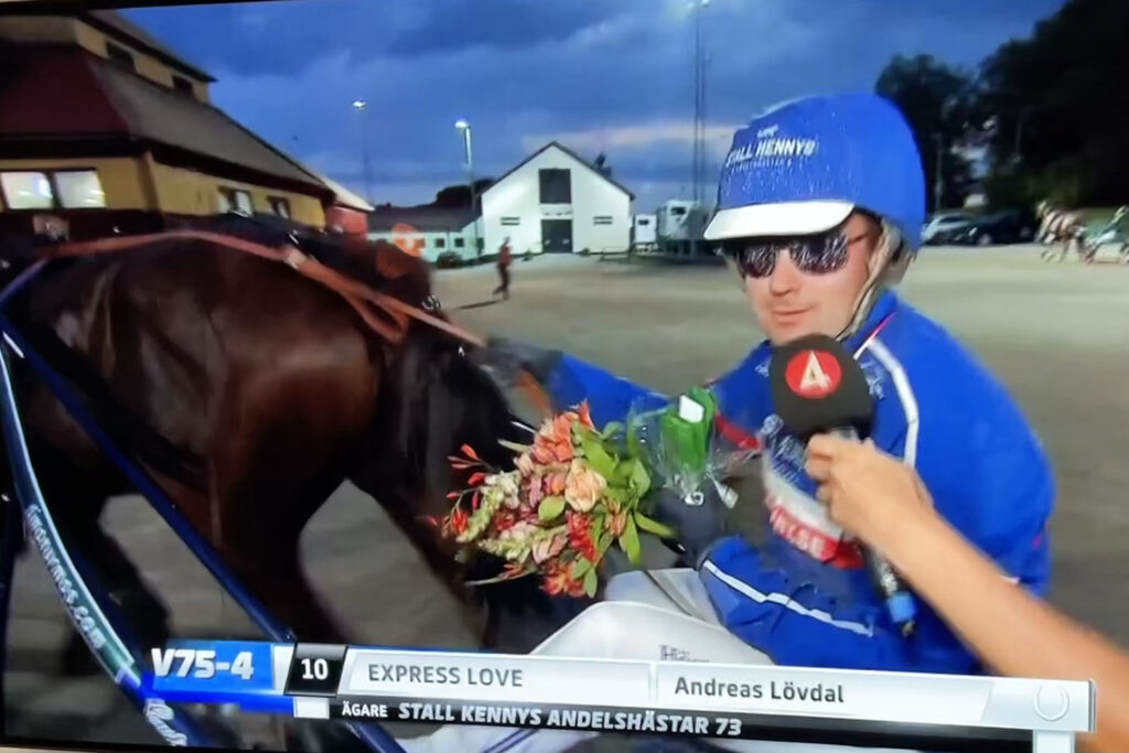 Andelshästen Express Love startar på Lindesberg på torsdag